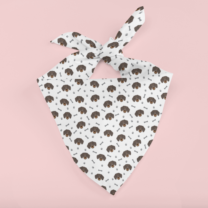 Dachshund Bandana