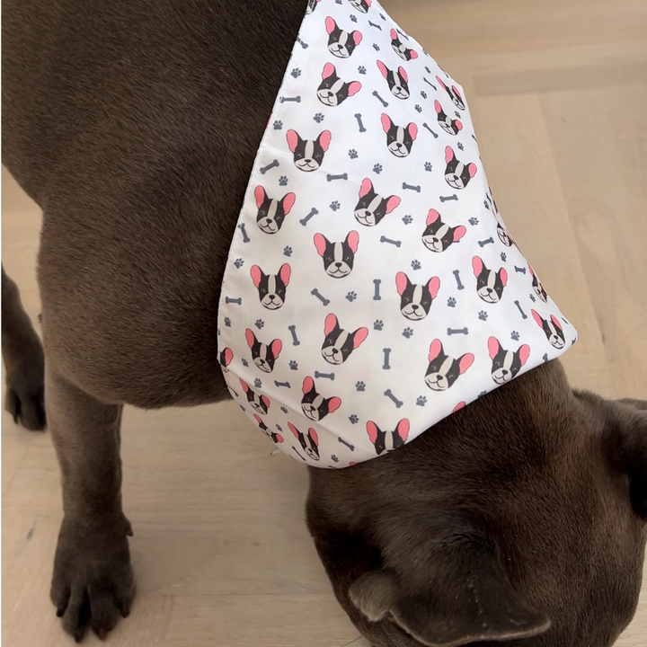 French Bulldog Bandana
