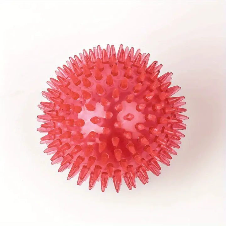 Teeth Cleaning Dog Ball (6.5cm)
