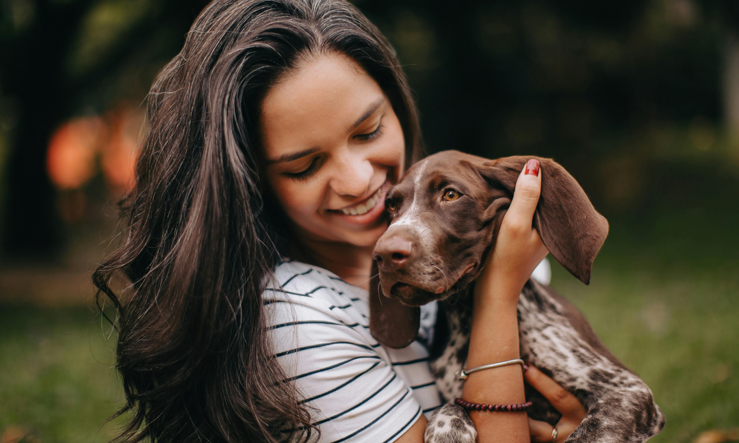 Best Multivitamins for Dogs with Itchy Skin and Seasonal Allergies