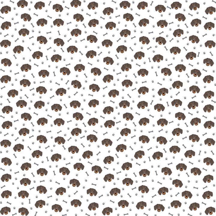 Dachshund Bandana